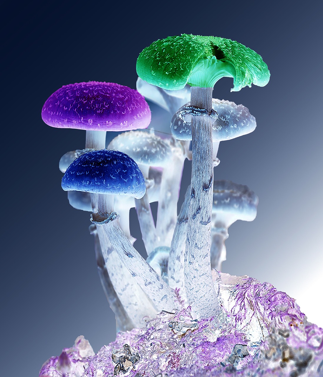 光晕合集最新探索，宇宙迷幻之旅启程