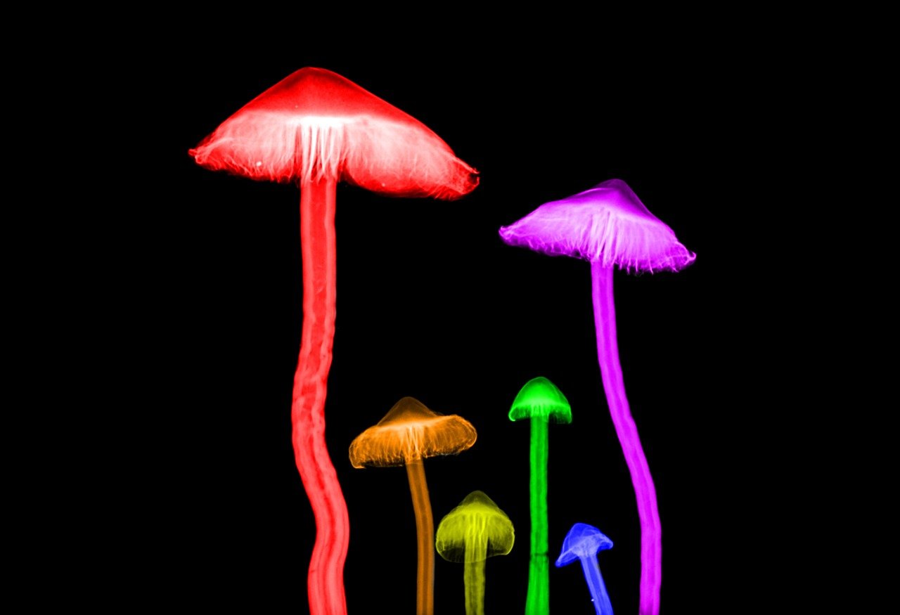 艺术与想象力的完美结合，精美动漫插画欣赏