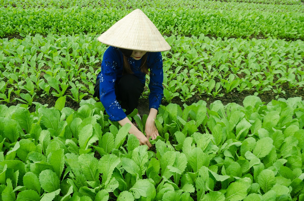 盖网最新发展动态，是否已经上市？