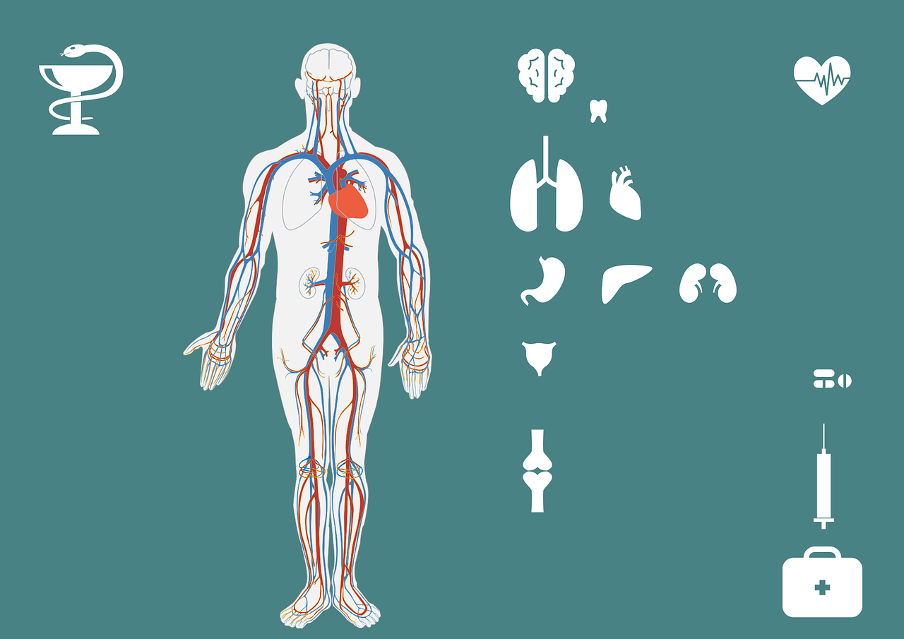 好大夫上市引领医疗健康行业新篇章